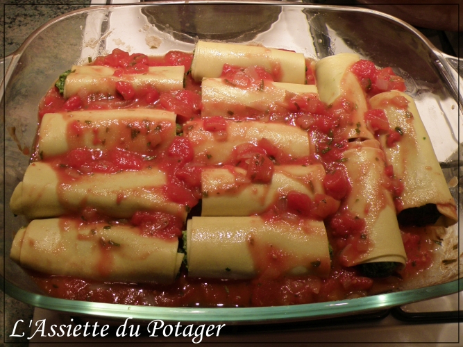 cannelloni avant cuisson